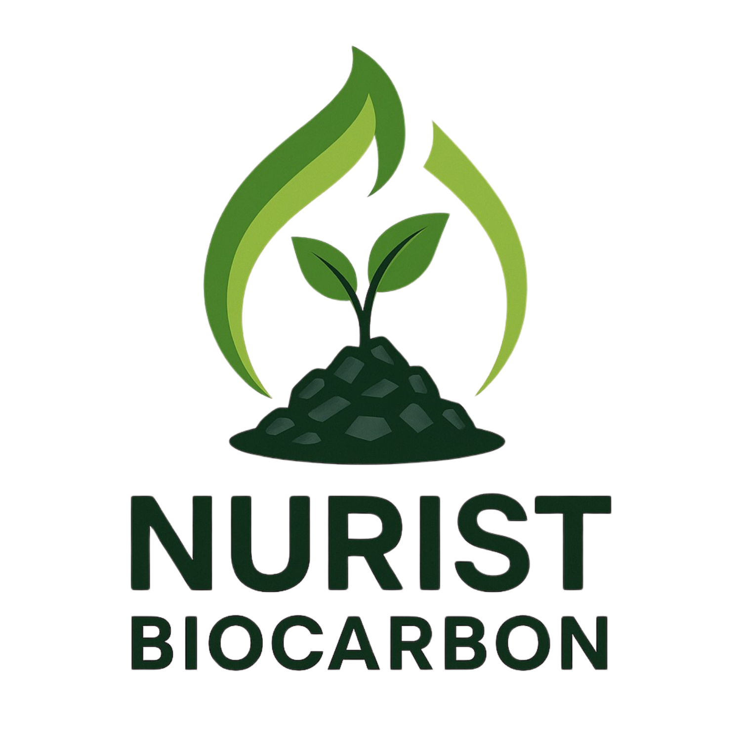 Nurist BioCarbon RBG Logo