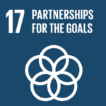 SDG 17