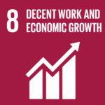 SDG 8